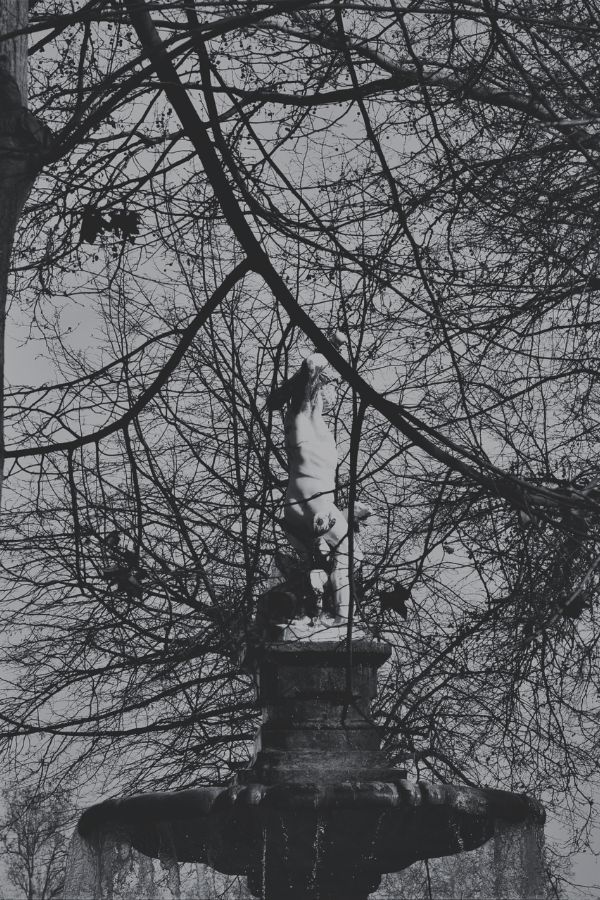 Procuradores en Aranjuez